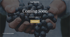 Desktop Screenshot of ced-system.com